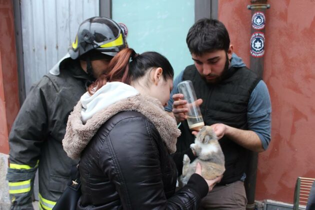 salvataggio coniglio via crispi Catania, vigili del fuoco 26-02-17. Foto di Elio Sofia