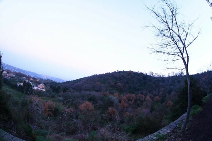 Monte Serra