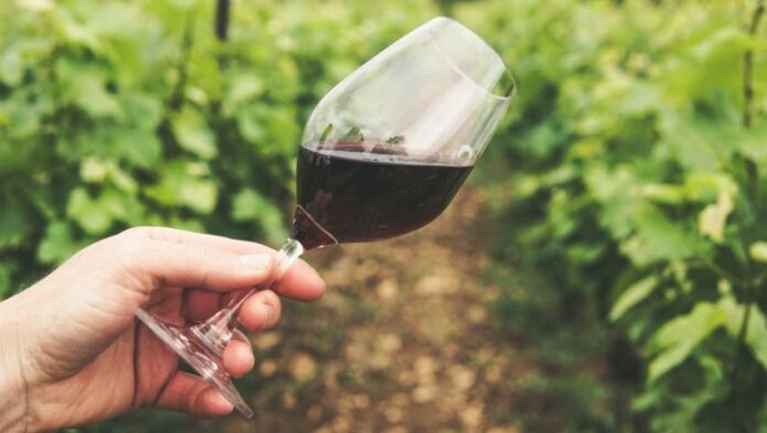 APERTURA-HASHTAG-SICILIA-NEWS-NOTIZIE-GIORNALE-ONLINE-OGGI-NOTIZIA-DEL-GIORNO-REDAZIONE - VINO - ASSOVINI - VINI - MEDITERRARIA EXPO