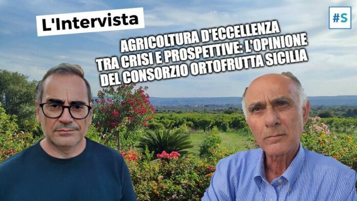 APERTURA-HASHTAG-SICILIA-NEWS-NOTIZIE-GIORNALE-ONLINE-OGGI-NOTIZIA-DEL-GIORNO-REDAZIONE - CONSORZIO ORTOFRUTTA SICILIA