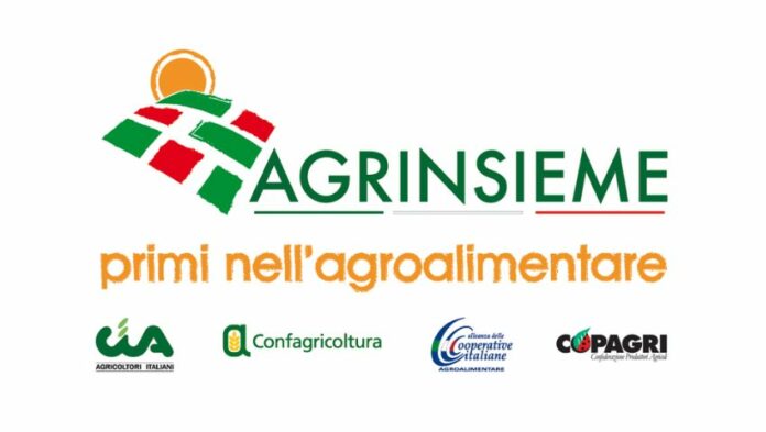 APERTURA-HASHTAG-SICILIA-NEWS-NOTIZIE-GIORNALE-ONLINE-OGGI-NOTIZIA-DEL-GIORNO-REDAZIONE - AGRINSIEME SICILIA