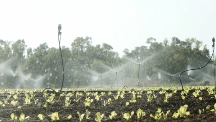 APERTURA-HASHTAG-SICILIA-NEWS-NOTIZIE-GIORNALE-ONLINE-OGGI-NOTIZIA-DEL-GIORNO-REDAZIONE - ACQUA - AGROINDUSTRIA ITALIANA