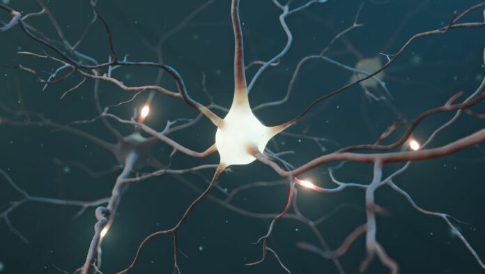 APERTURA-HASHTAG-SICILIA-NEWS-NOTIZIE-GIORNALE-ONLINE-OGGI-NOTIZIA-DEL-GIORNO-REDAZIONE - CERVELLO - MENTE - NEURONE - NEURONI